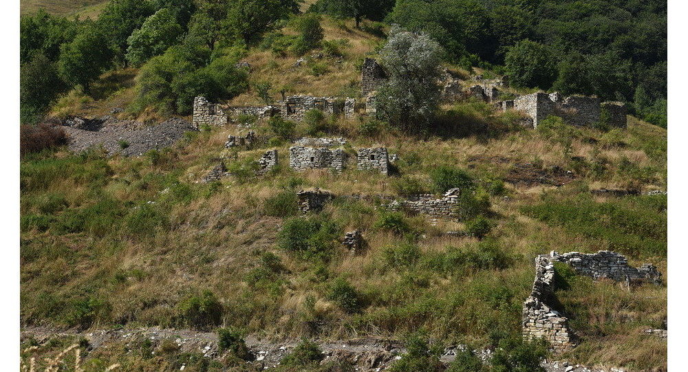 БАГАЕВЫ